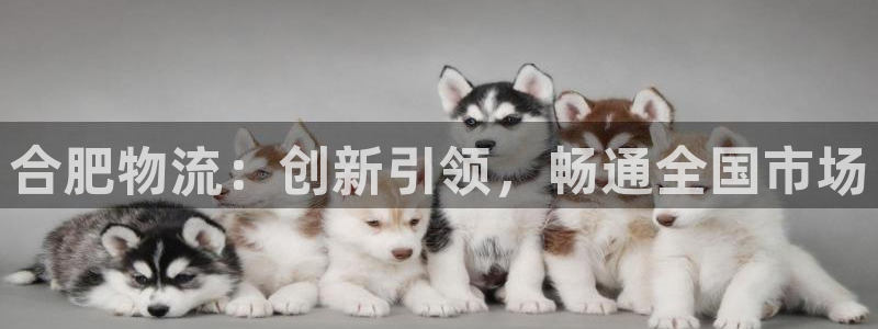 旺财28吧：合肥物流：创新引领，畅通