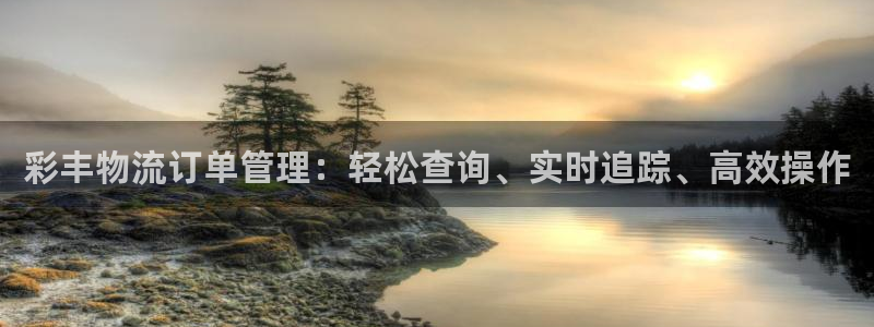 旺财28登录网：彩丰物流订单管理：轻