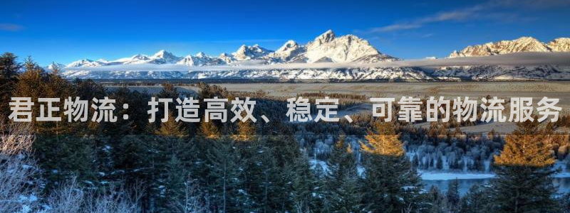旺财28网站平台是多少：君正物流：打