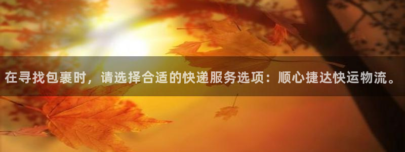 旺财28充值不处理怎么办：在寻找包裹