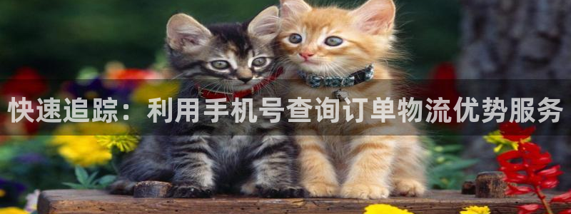 旺财28充值方式：快速追踪：利用手机