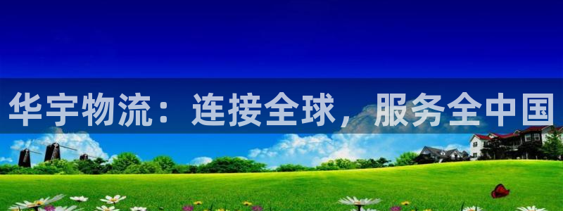 旺财28加拿大6.0：华宇物流：连接全球，服务全中国