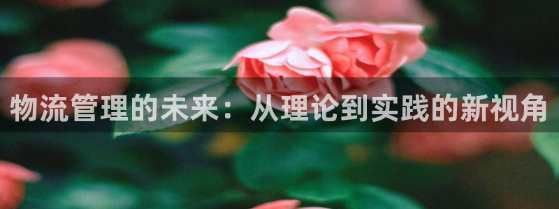旺财28加拿大在线预测：物流管理的未