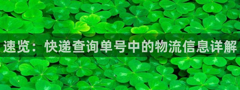 旺财28充值不处理会怎么样：速览：快