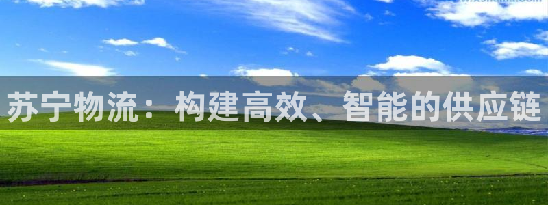 旺财28官网开奖结果预测查询：苏宁物