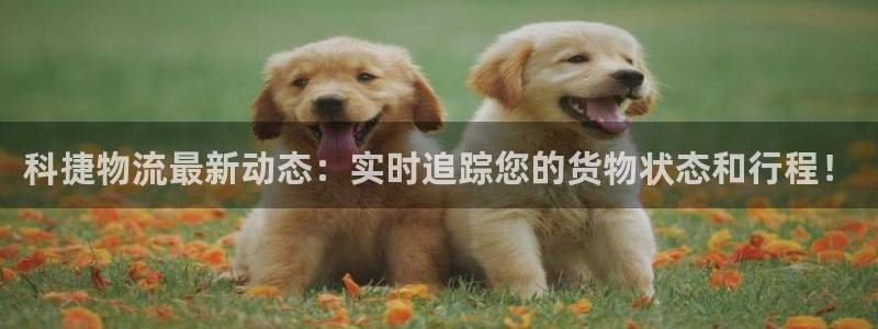南宫旺财28怎么注册：科捷物流最新动