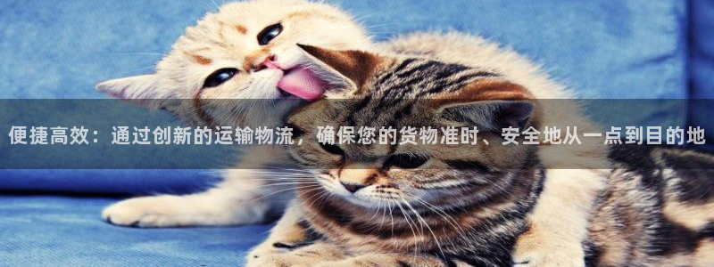 旺财28app怎么注销：便捷高效：通