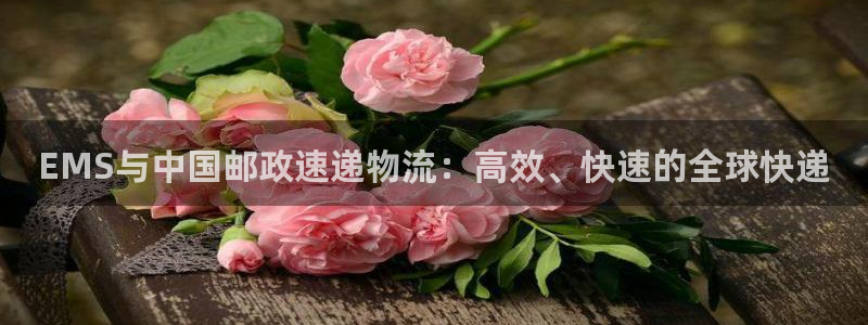 旺财28官网入口pc29官网版下载：