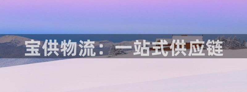旺财28官网入口app：宝供物流：一