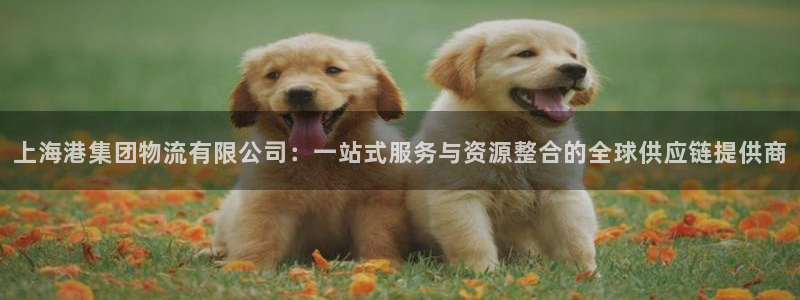 旺财28注册号：上海港集团物流有限公