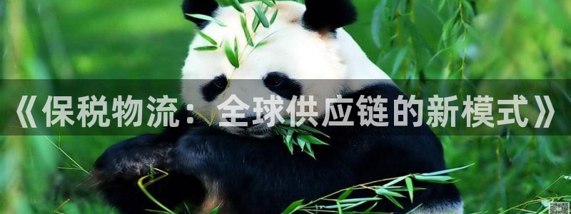 旺财28分分压单双技巧：《保税物流：