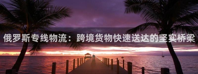 旺财28比特28真实吗：俄罗斯专线物