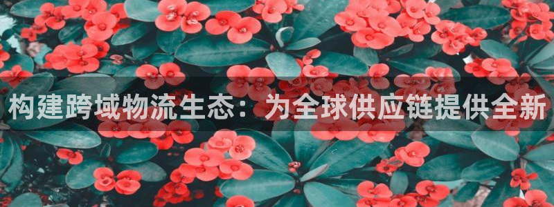 旺财28游戏最新版：构建跨域物流生态