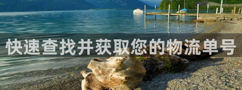 旺财28麻将胡了在线试玩：快速查找并