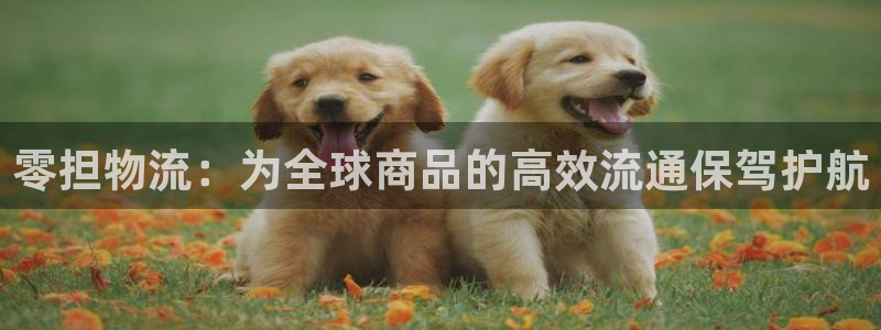 旺财28官网入口pcios：零担物流