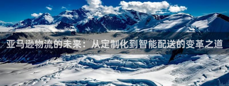 旺财28注册登录链接流程:亚马逊物流