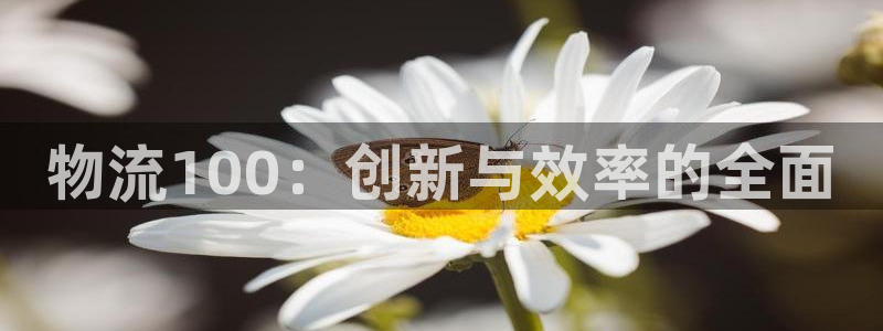 旺财28p扣除:物流100:创新与效