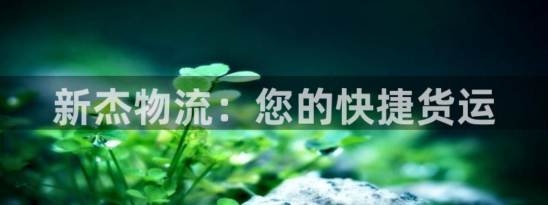旺财28电子游戏：新杰物流：您的快捷货运