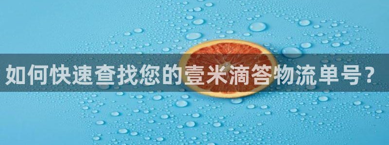 旺财28官网开奖结果预测：如何快速查找您的壹米滴答物流单号？