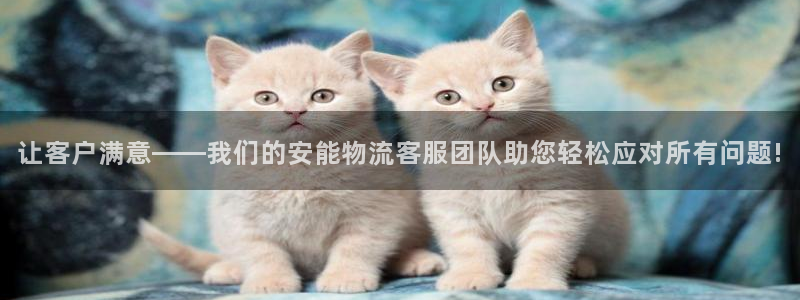 旺财28官网入口:让客户满意——我们