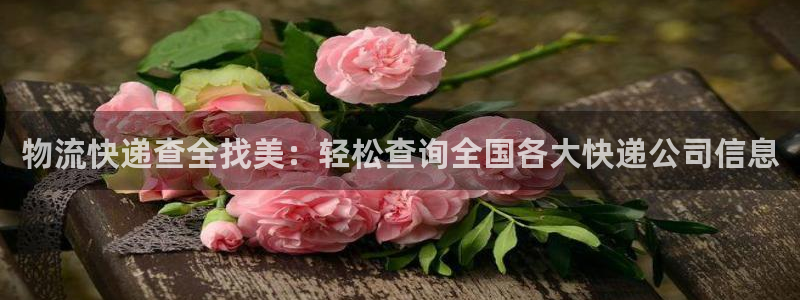 旺财28哪个最赚钱