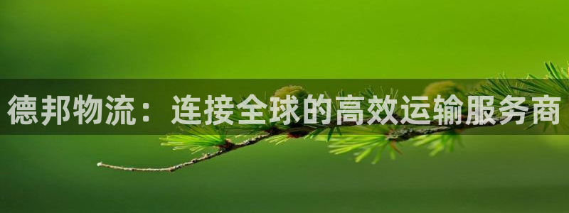 旺财28官方版网站:德邦物流:连接全