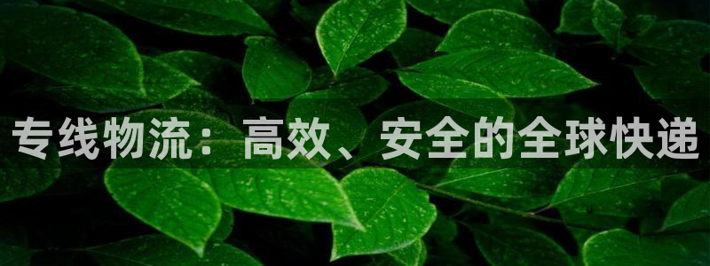 旺财28连输10天:专线物流:高效、