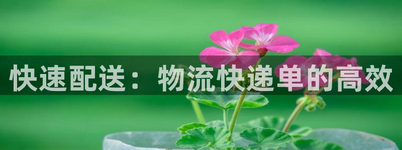 旺财28玩法：快速配送：物流快递单的高效