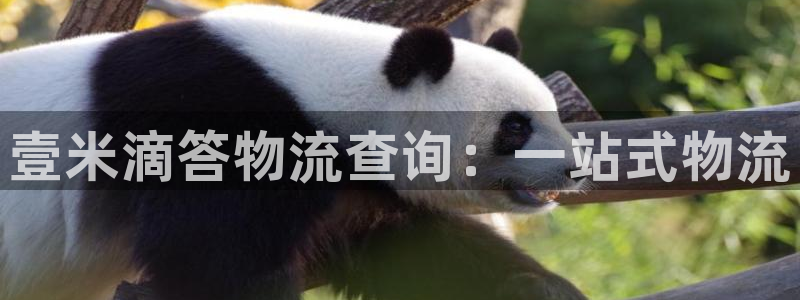旺财28正规吗?:壹米滴答物流查询: