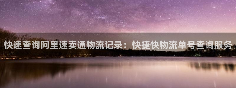 旺财28注册登录流程:快速查询阿里速