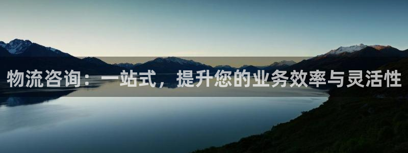 旺财28注册与教程:物流咨询:一站式