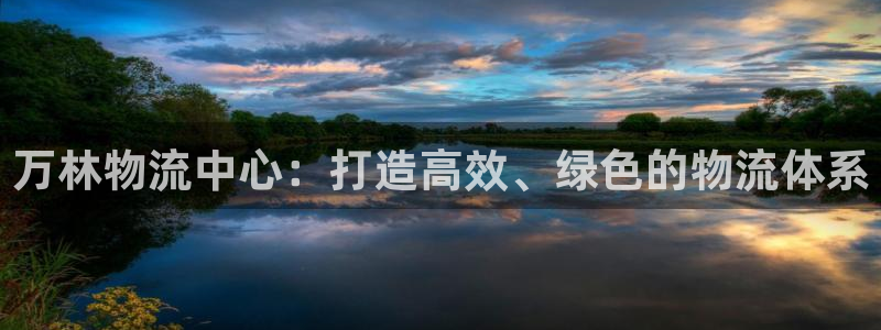 旺财28龙虎:万林物流中心:打造高效