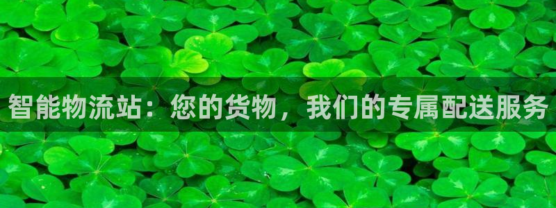 pc旺财28怎么注册:智能物流站:您