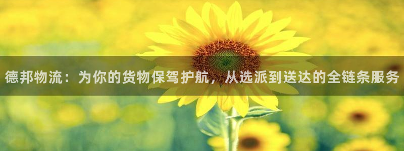 旺财28口内径是多大:德邦物流:为你