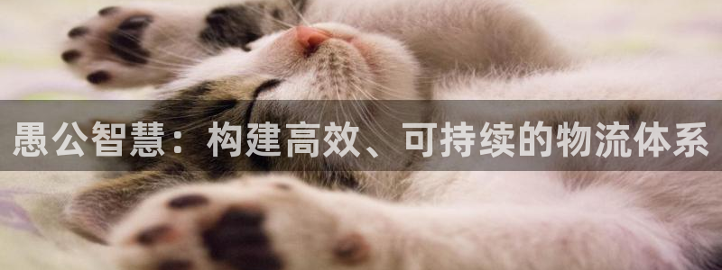 旺财28模拟器在线使用:愚公智慧:构