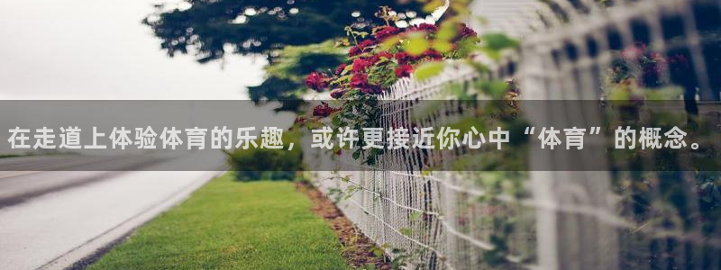 xc体育