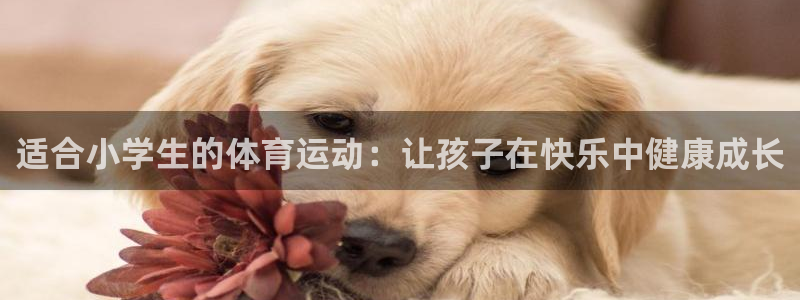xc体育app官方网站