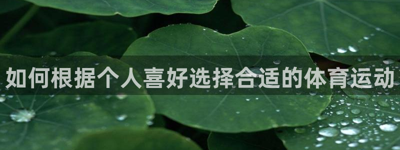 xc体育app官方网站