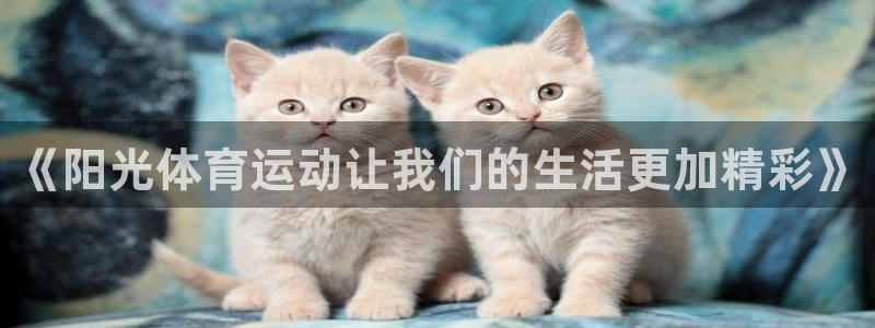 xc体育