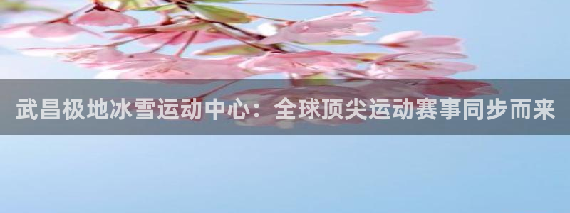 xc体育