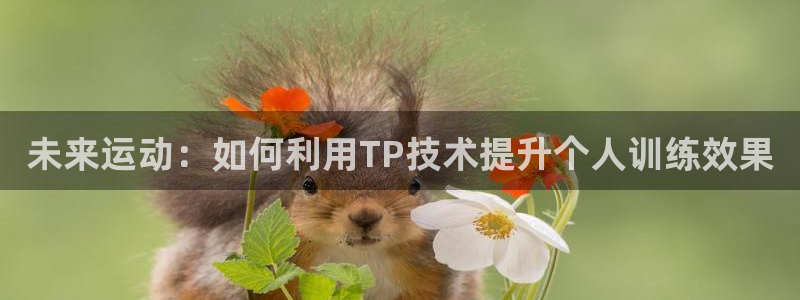 xc体育app官方网站