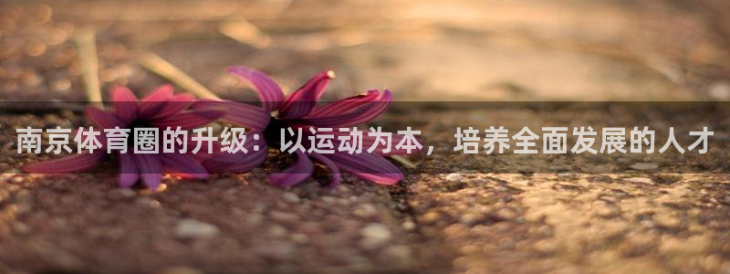 xc体育app官方网站：南京体育圈的升级：以运动为本，培养全面发展的人才