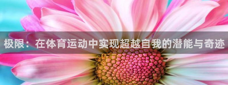 xc体育app官方网站：极限：在体育运动中实现超越自我的潜能与奇迹
