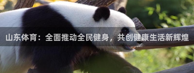 xc体育：山东体育：全面推动全民健身，共创健康生活新辉煌