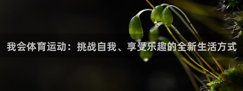 xc体育：我会体育运动：挑战自我、享受乐趣的全新生活方式
