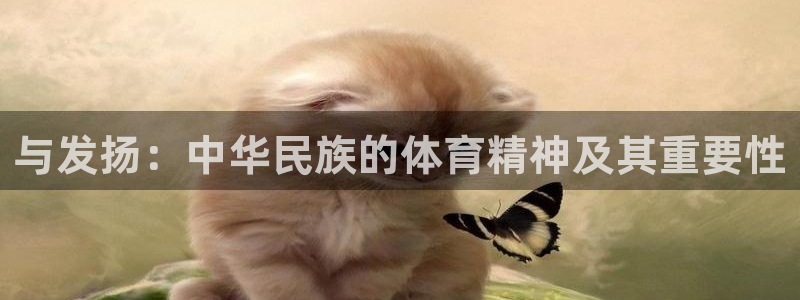 xc体育：与发扬：中华民族的体育精神及其重要性