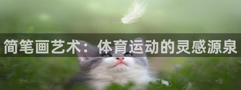 xc体育
