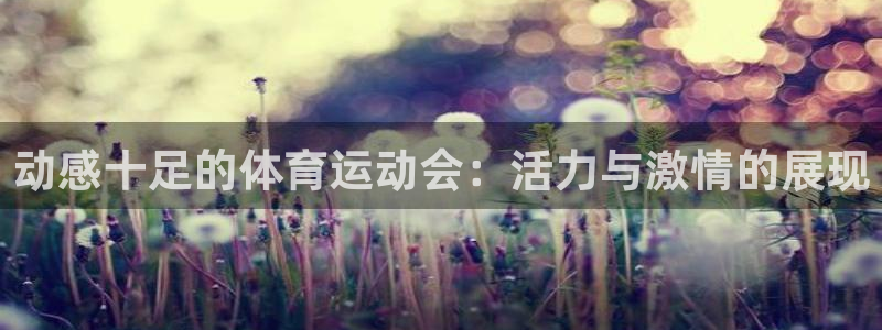 xc体育