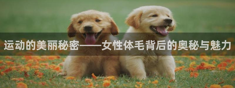 xc体育app官方网站：运动的美丽秘密——女性体毛背后的奥秘与魅力