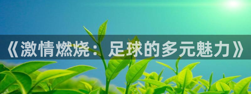 xc体育：《激情燃烧：足球的多元魅力》